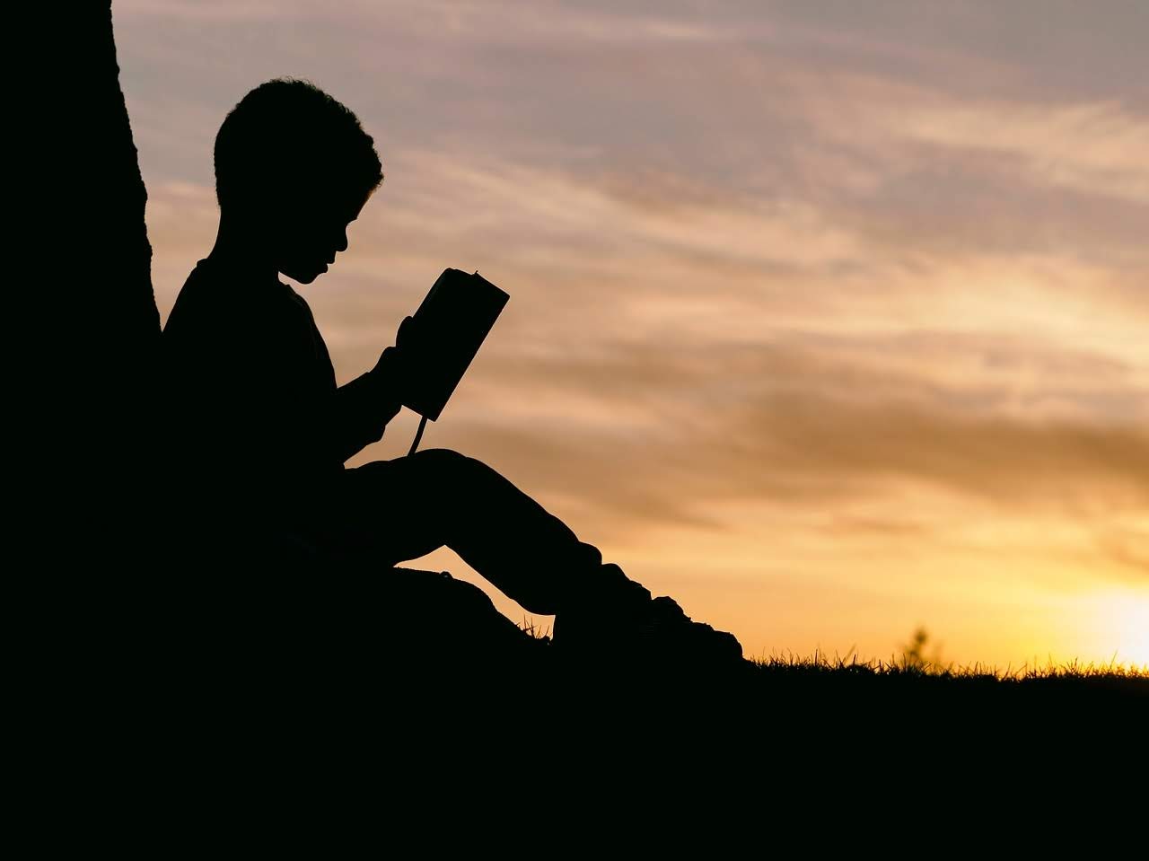 Report Istat sulla lettura. Dati in calo nel 2022: il 39,3 per cento ha letto un libro nell’ultimo anno