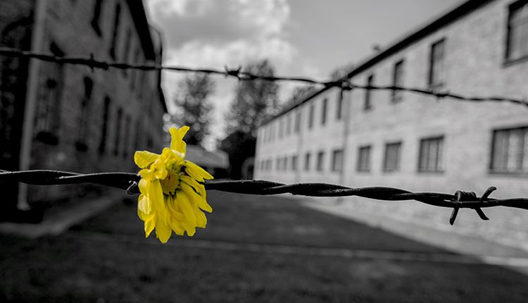 Giorno della Memoria 2025: una bibliografia per bambini e ragazzi