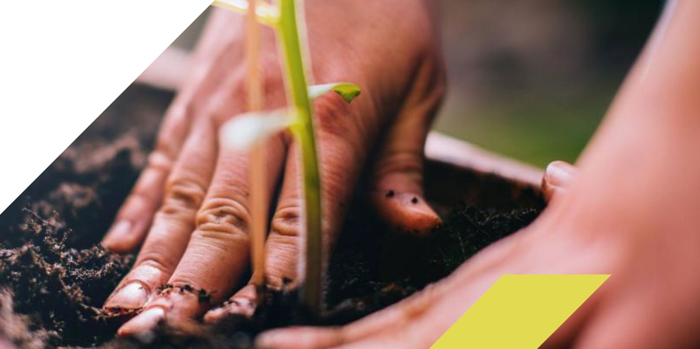 Ecologia e ambiente: che cosa leggono i giovani?